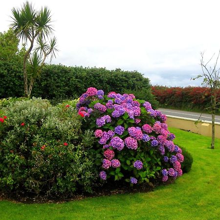 Cill Bhreac House B&B Dingle Exteriör bild