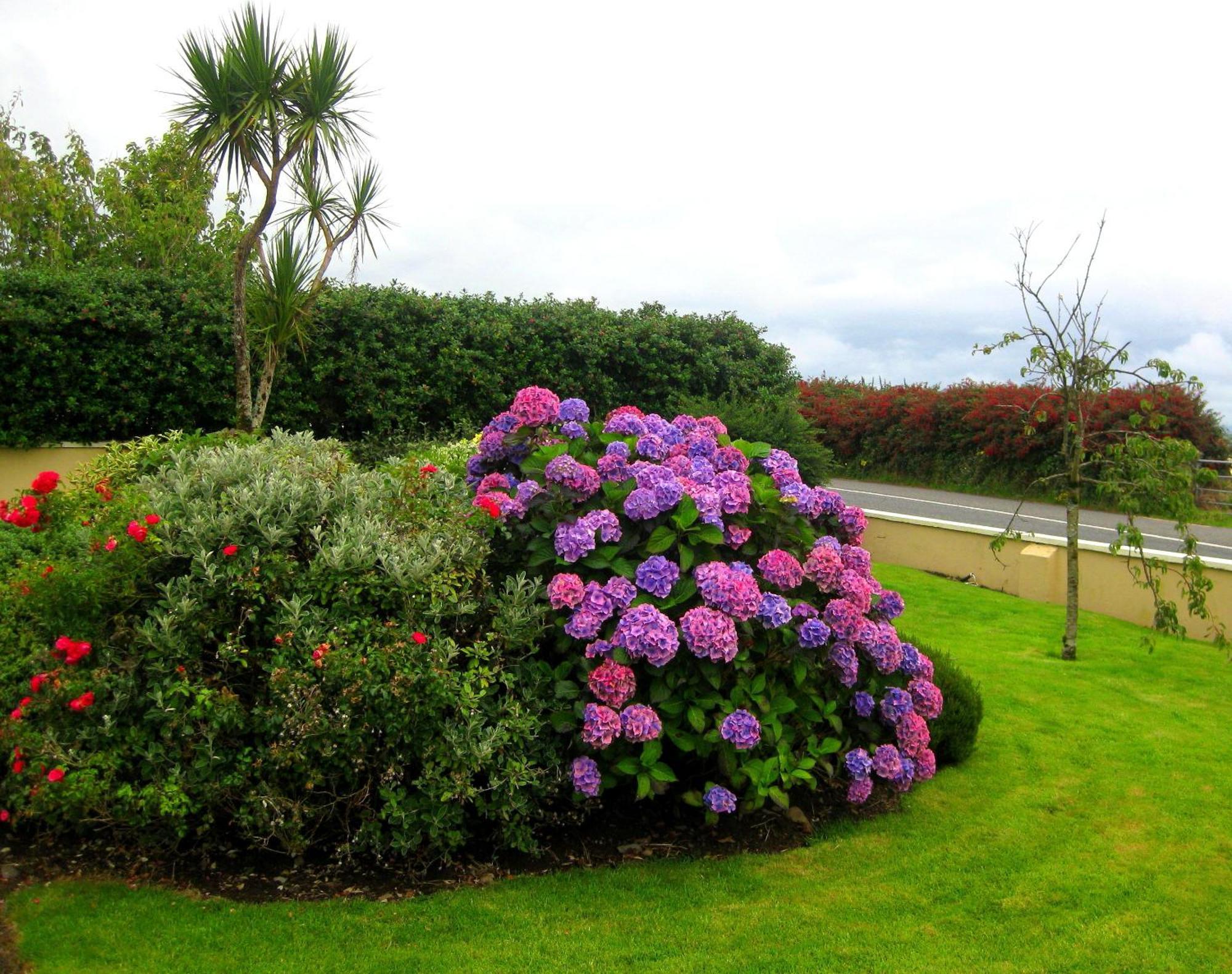 Cill Bhreac House B&B Dingle Exteriör bild
